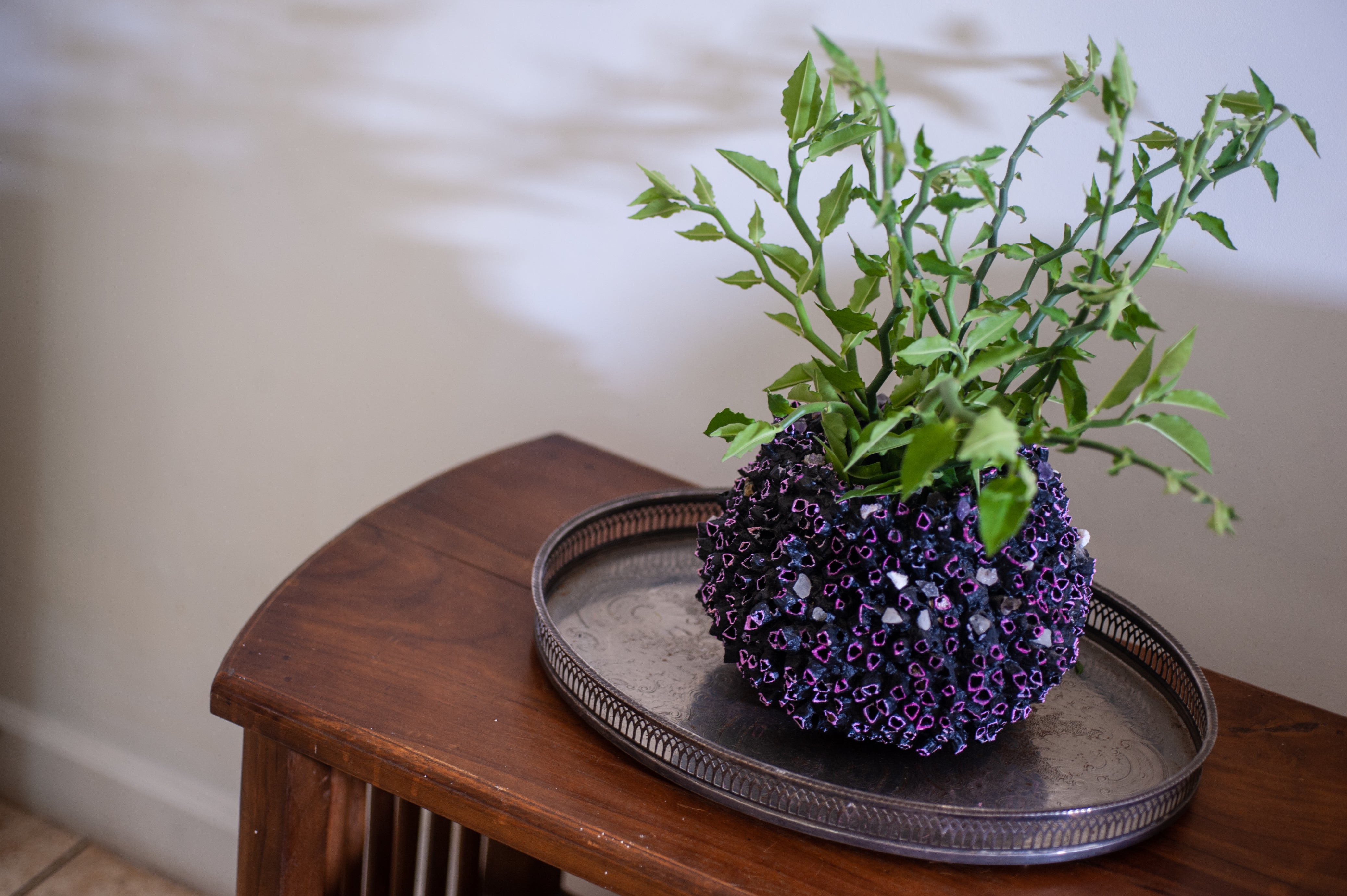 Black and Pink Seashell Vase (Medium)