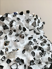 White/Black Seashell & Crystal Vase (medium)