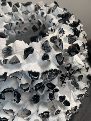 White/Black Seashell & Crystal Vase (medium)