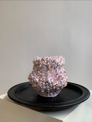Pink Seashell & Crystal Vase (Medium)