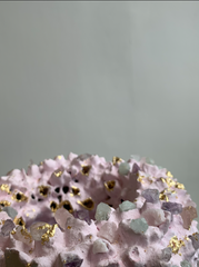 Pink Seashell & Crystal Vase (Medium)