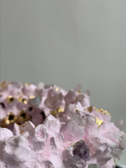 Pink Seashell & Crystal Vase (Medium)