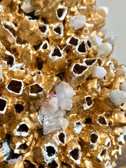 Gold Seashell Vase (Medium)
